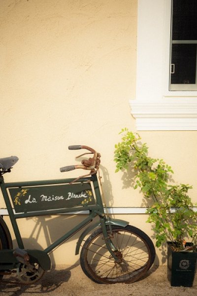 画像1: バラに覆われた看板になった自転車